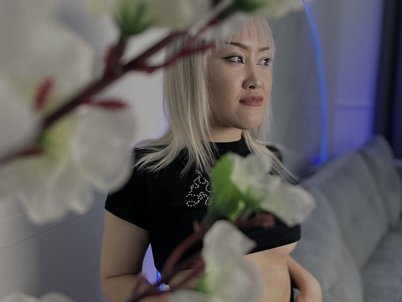 SakuraKaneko te donne rendez vous sur sa cam sexy Livejasmin pour un plan cul gratuit en liveshow coquin